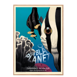 Ungermann, Der Blaue Planet