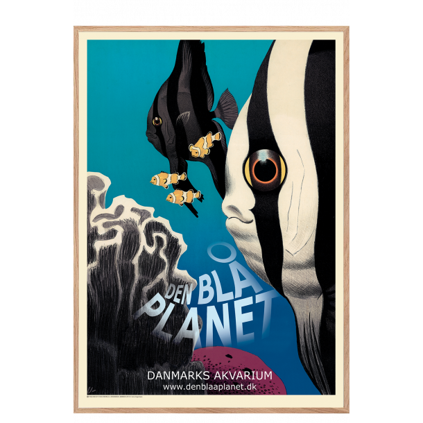 Ungermann, Den bl planet