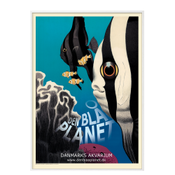 Ungermann, Der Blaue Planet