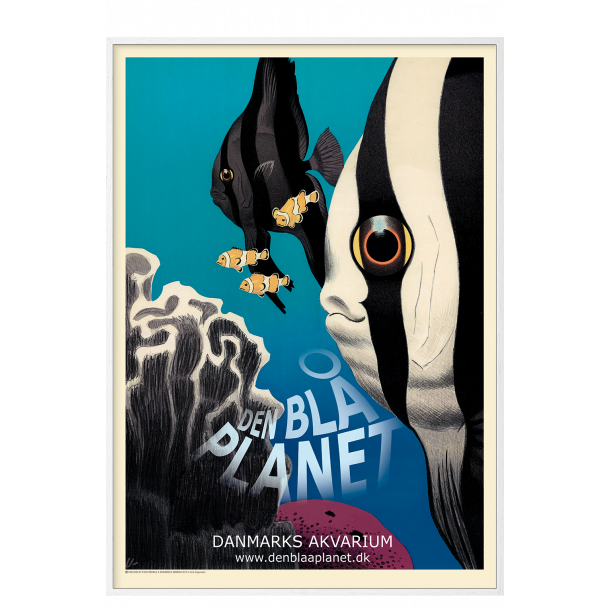 Ungermann, Den bl planet