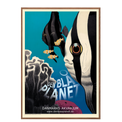 Ungermann, Der Blaue Planet