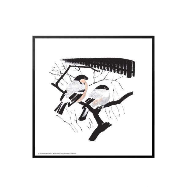 Dompapper, Aage Sikker Hansen