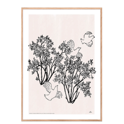 Mio my son. Pigeons and berries