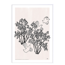 Mio my son. Pigeons and berries