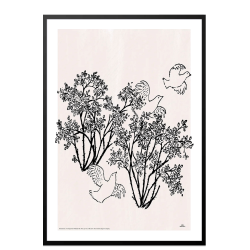 Mio my son. Pigeons and berries