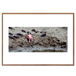 Dukke mand p strand. Fotokunst. Fotoplakat.