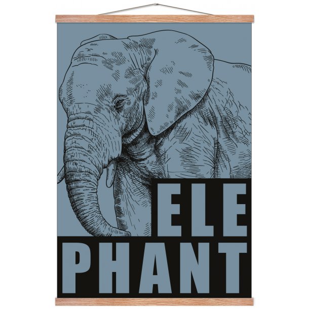 Elefant / Elephant - bl. Sebastian Klein
