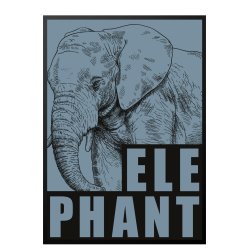 Elefant / Elephant - bl. Sebastian Klein