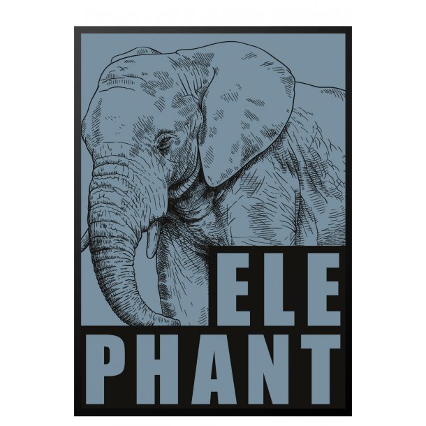 Elefant / Elephant - bl. Sebastian Klein