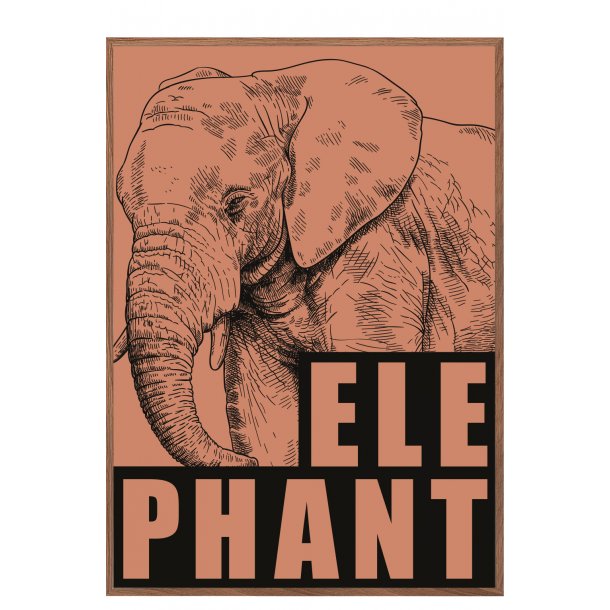 Elefant / Elephant - rd/jord. Sebastian Klein
