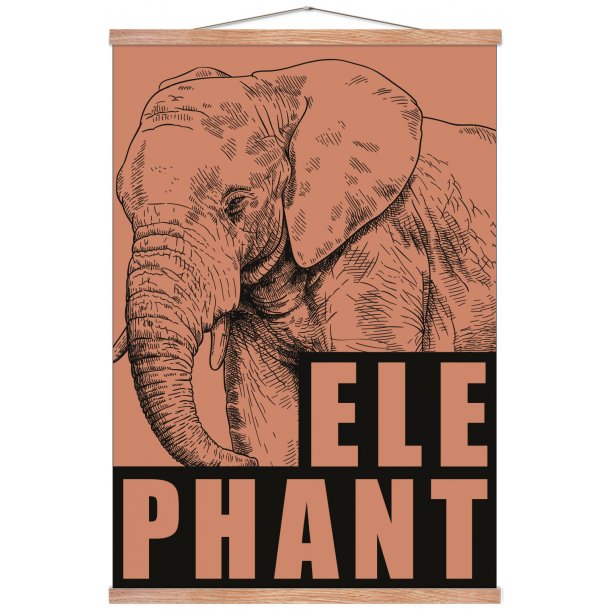 Elefant / Elephant - rd/jord. Sebastian Klein
