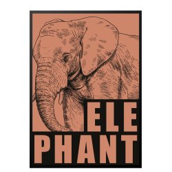 Elefant / Elephant - rd/jord. Sebastian Klein