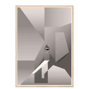 Elefant. Martin Schwartz