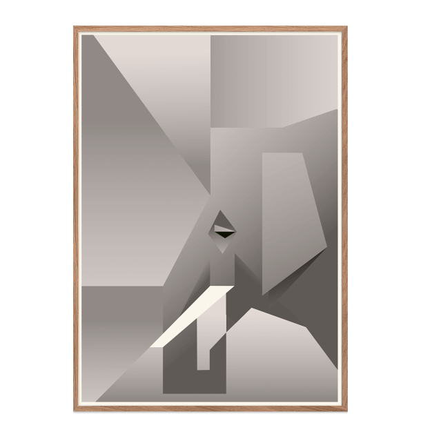 Elefant. Martin Schwartz