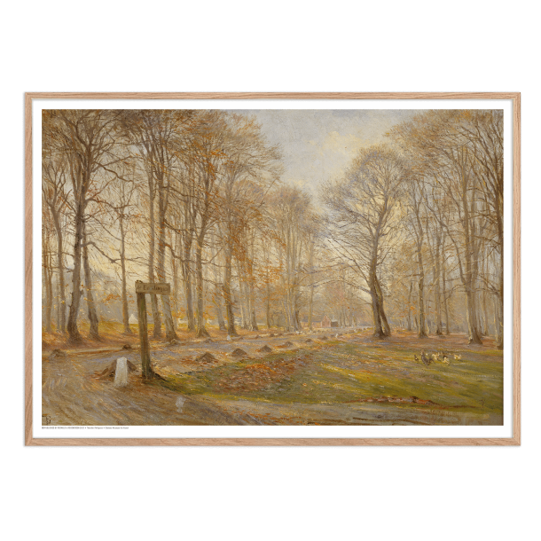 Philipsen, En sen efterrsdag i Dyrehaven. Solskin