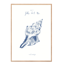 Filles de la mer, N2