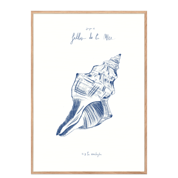 Filles de la mer, N2