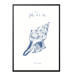 Filles de la mer, N2