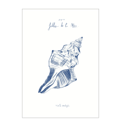 Filles de la mer, N2