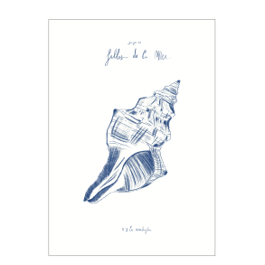 Tchter des Meeres, N2