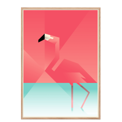 Flamingo. Martin Schwartz