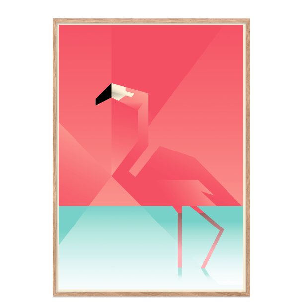 Flamingo. Martin Schwartz