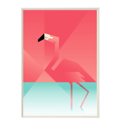 Flamingo. Martin Schwartz
