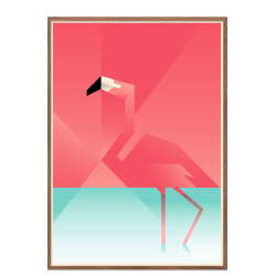 Flamingo. Martin Schwartz