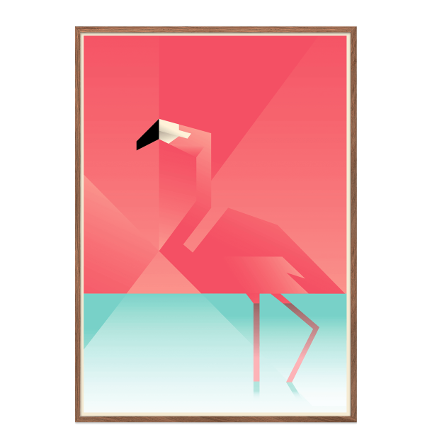 Flamingo. Martin Schwartz