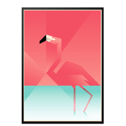 Flamingo. Martin Schwartz