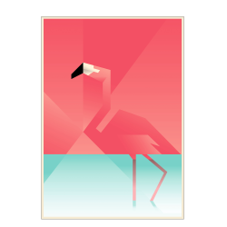Flamingo. Martin Schwartz