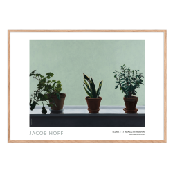 Flora // Et hjemligt terrn #5