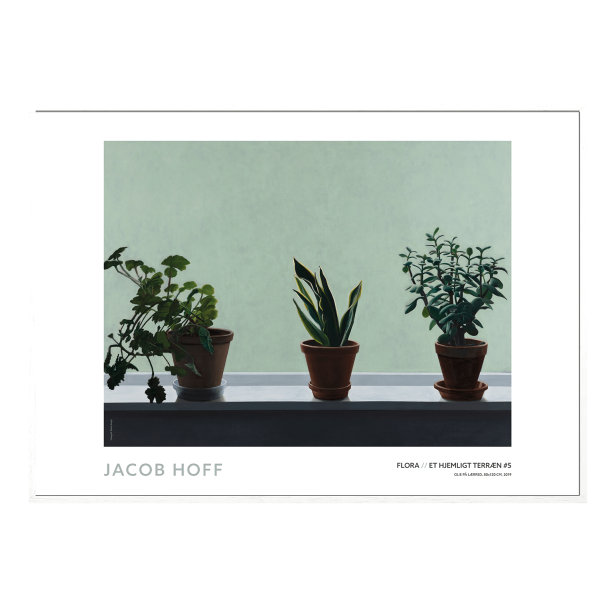 Flora // Et hjemligt terrn #5