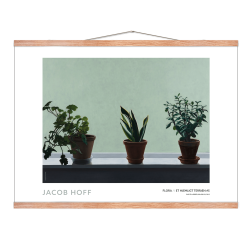 Flora // Et hjemligt terrn #5