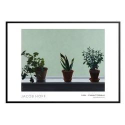 Flora // Et hjemligt terrn #5