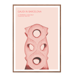 Gaudi. Udsnit af Casa Mila (Rosa)