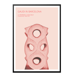 Gaudi. Udsnit af Casa Mila (Rosa)