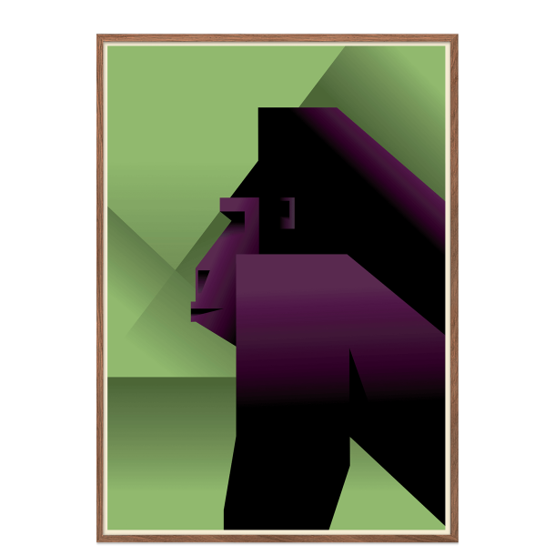 Gorilla. Martin Schwartz