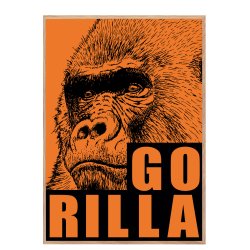 Gorilla. Sebastian Klein