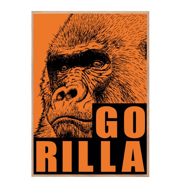 Gorilla. Sebastian Klein