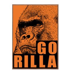 Gorilla. Sebastian Klein