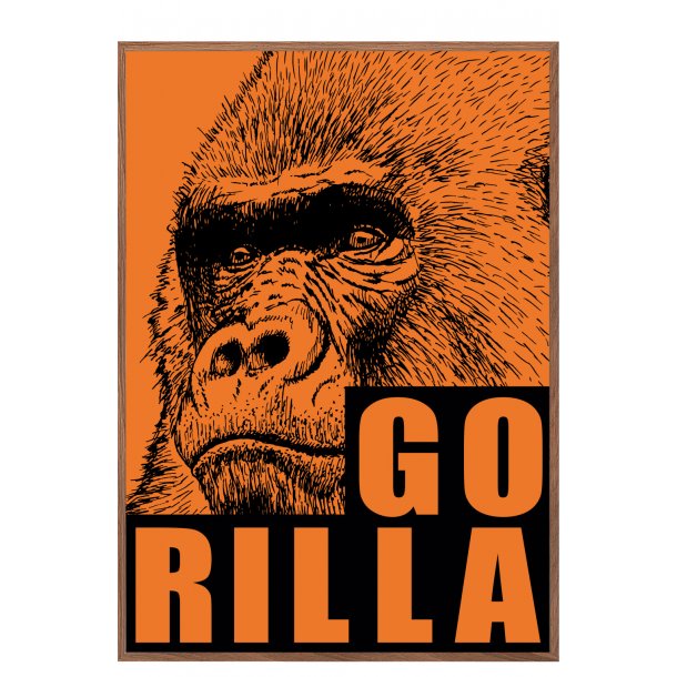 Gorilla. Sebastian Klein