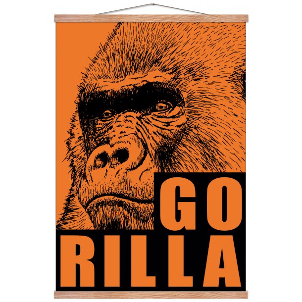 Gorilla. Sebastian Klein