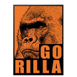 Gorilla. Sebastian Klein