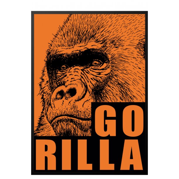 Gorilla. Sebastian Klein