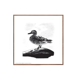 Grand p sen, Aage Sikker Hansen