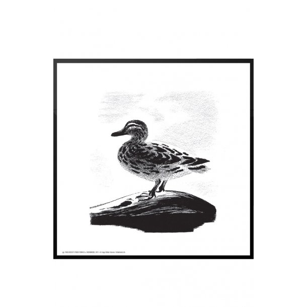 Grand p sen, Aage Sikker Hansen