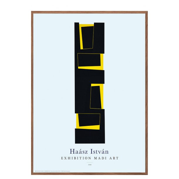 MEDI ART. Hasz Istvn