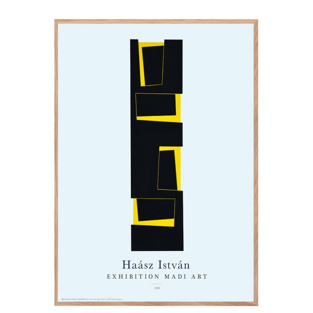 MEDI ART. Hasz Istvn