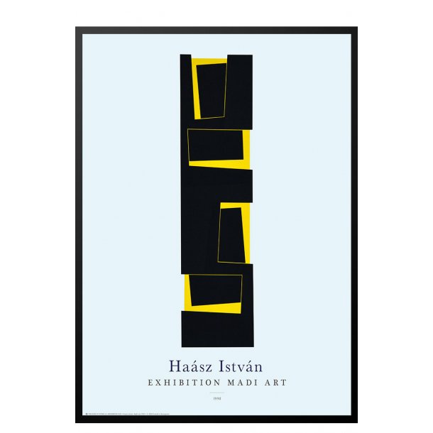 MEDI ART. Hasz Istvn